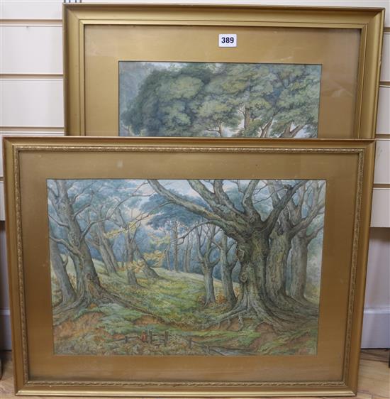 V.A. Bourne Woodland scenes 53 x 37cm largest